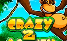 Crazy Monkey 2