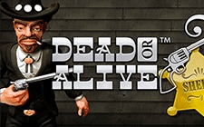 Игровой автомат Dead or Alive