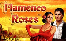 Flamenco Roses