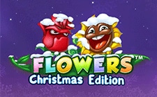 Игровой автомат Flowers Christmas Edition