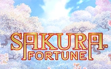 Игровой автомат Sakura Fortune